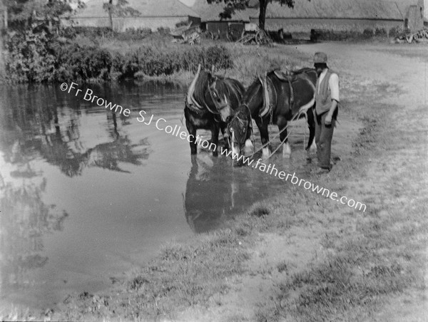 WATERING THE HORSES / TEAM